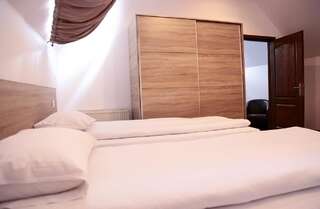 Отель Hotel Apollonia Брашов Двухместный номер с 1 кроватью или 2 отдельными кроватями-7