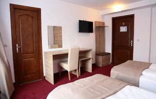 Отель Hotel Apollonia Брашов Двухместный номер с 1 кроватью или 2 отдельными кроватями-8